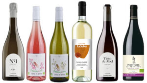 Organic Christmas Case One Organic Christmas Case 1