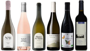 Organic Christmas Case Two organic christmas 2