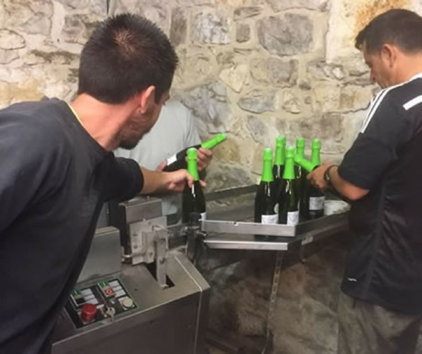 Handmade Wine