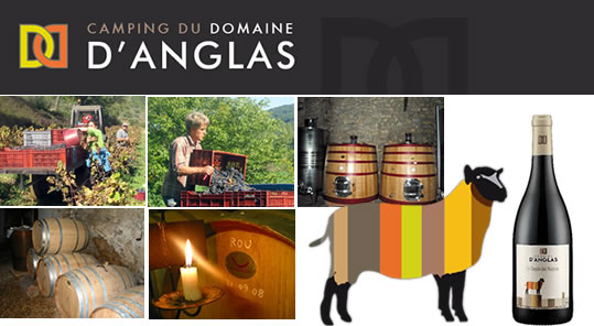 Domaine D'Anglas