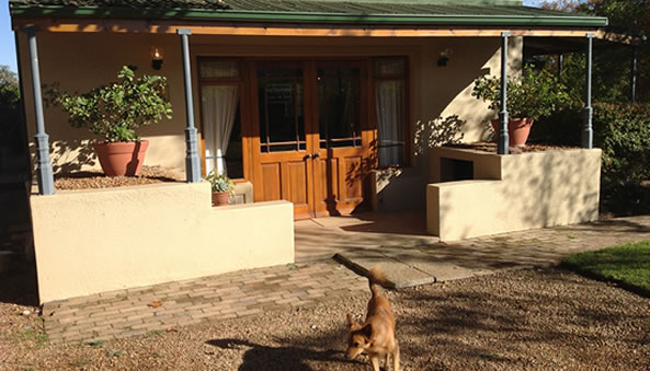 Grangehurst cellar door with Chase the dog