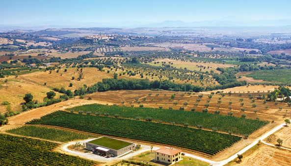 La Selva vineyards