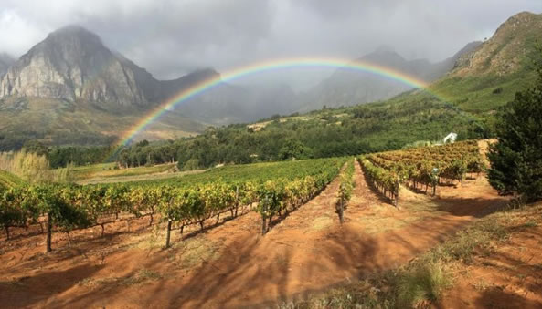 Rainbows End vineyard