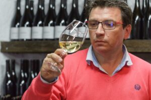 Anadigna Albarino Sobre Lias D.O Rias Baixas - Image 2