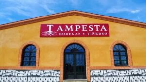 Tampesta Rosado D.O Tierra de Leon - Image 2