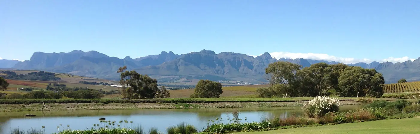 winery scenery
