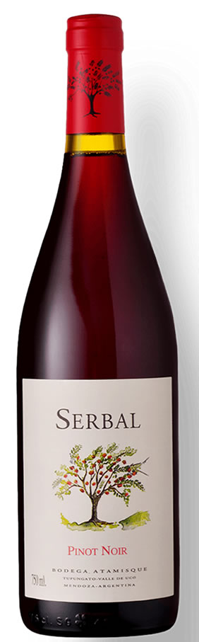 Atamisque Serbal Pinot Noir serbal pinot noir