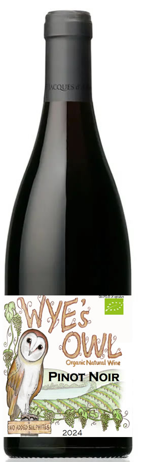 Wye’s Owl Organic Pinot Noir NAS 2024 wyes owl no added sulphite organic pinot noir